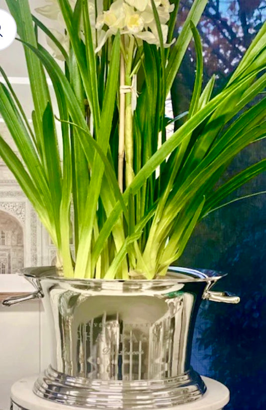 Giftware - Prestige Cuvée Mega Drinks Cooler | PICK-UP INSTORE ONLY