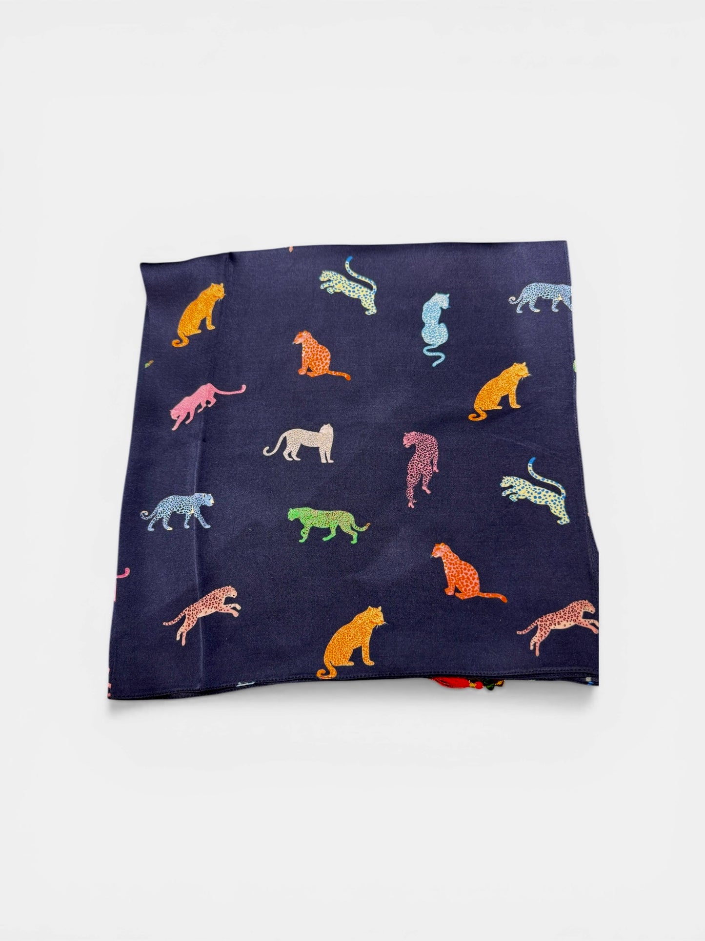 Scarf - Funky Cats