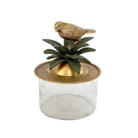 Giftware - Museo Pajaro Trinket Box | Brass (PICK-UP INSTORE ONLY)