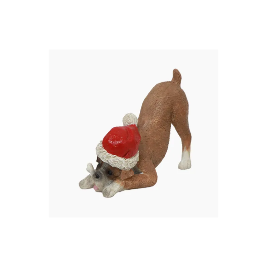 Giftware - Boxer with Santa Hat | PICK-UP INSTORE ONLY