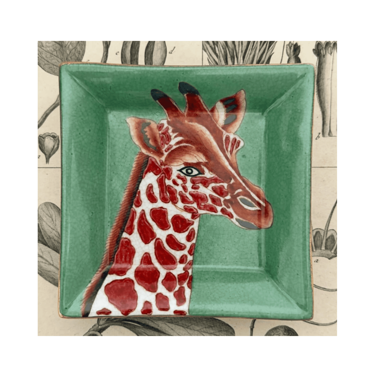Exotico Wall Plate | Jirafa