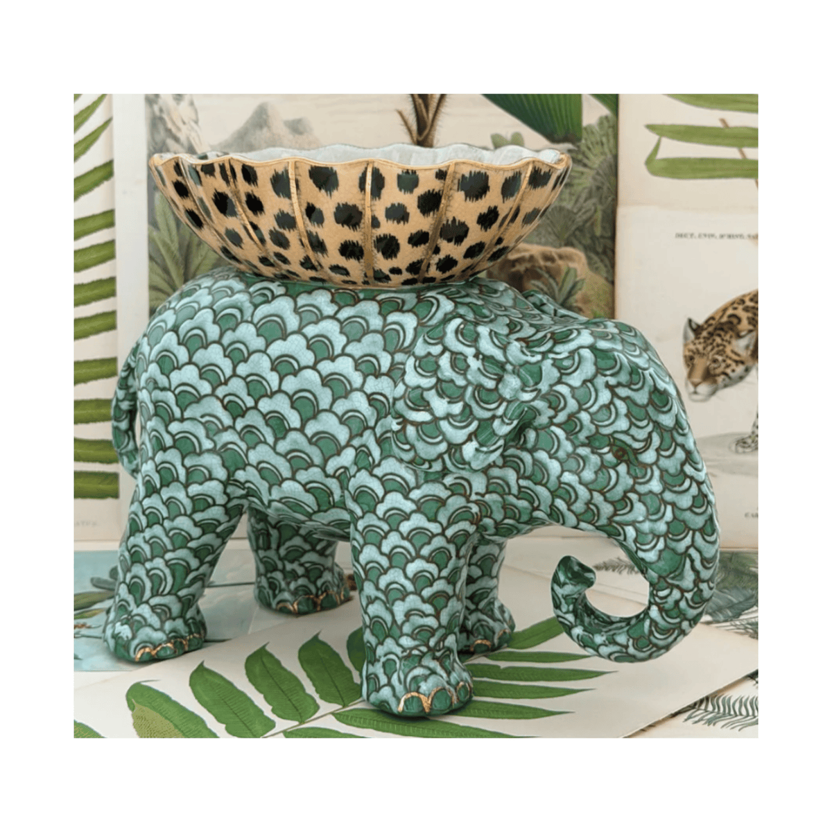 Museo Savon Dish | Parrakeet/Elefante