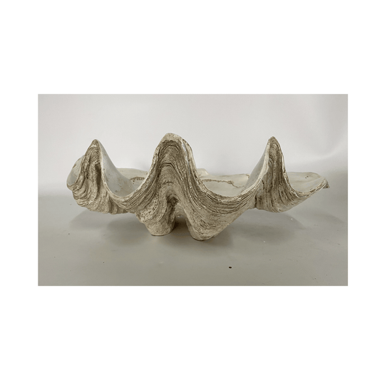 Clam Antique White | Medium | PICKUP INSTORE ONLY