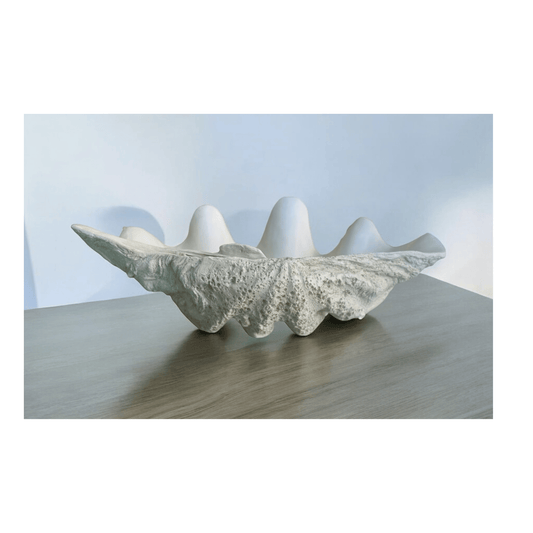 Clam Natural White | Large | PICKUP INSTORE ONLY