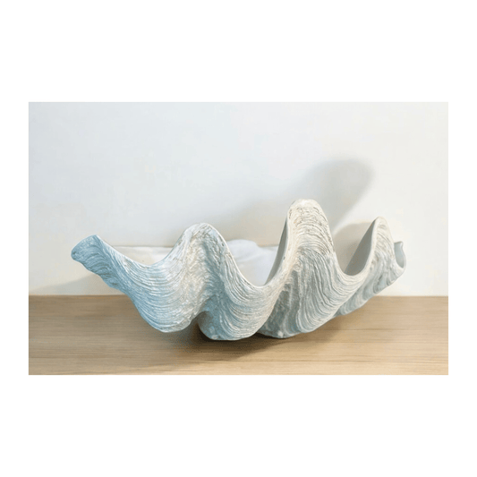 Clam Natural White | Large | PICKUP INSTORE ONLY